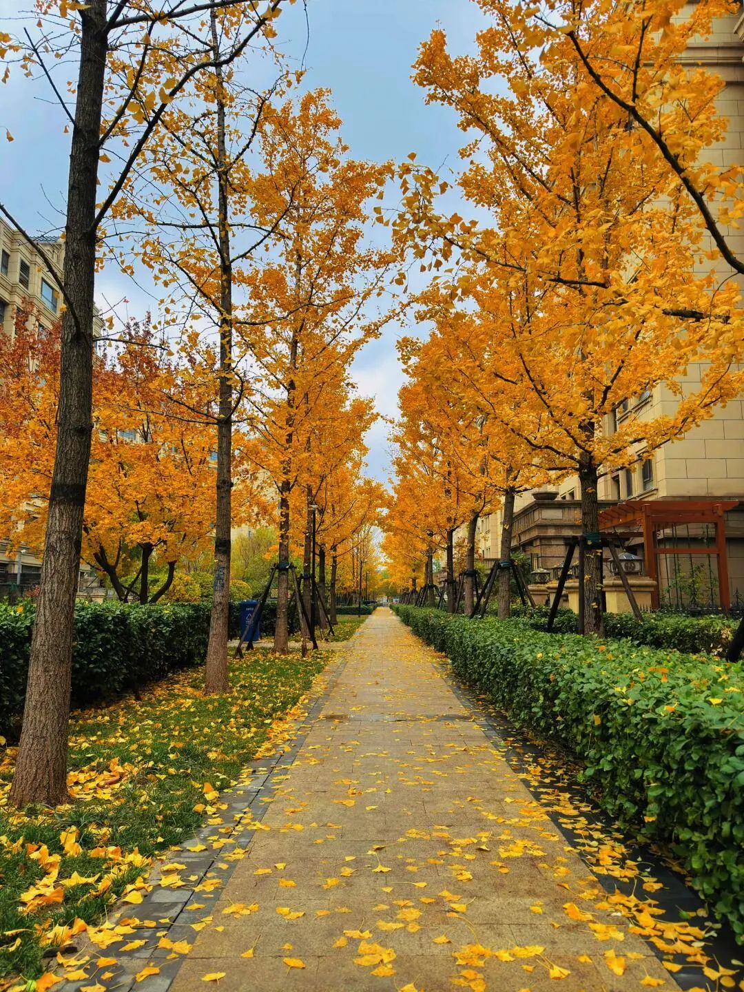 世界从来没有荒废我们，是我们荒废了世界