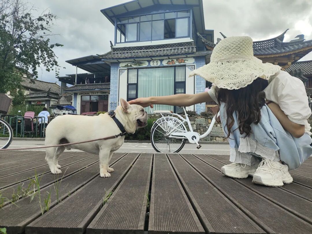 一天挣了12579，03年，体重不到85斤的她，靠知识变现逆袭