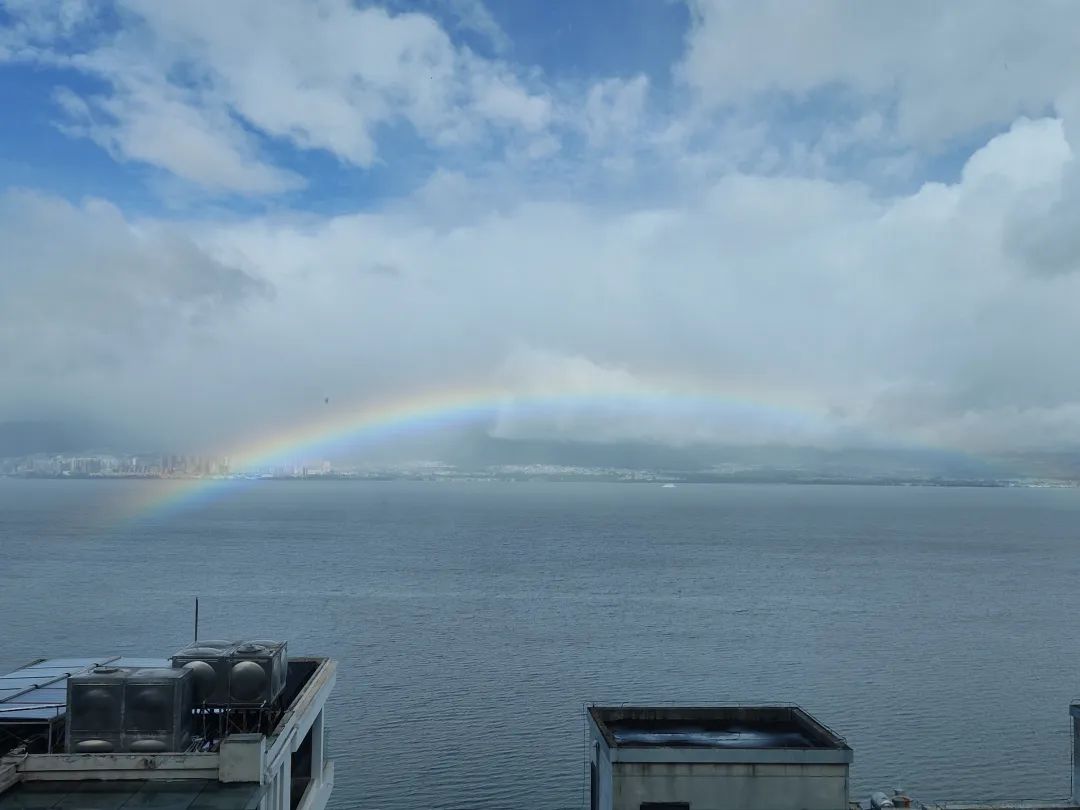 1天收益2500多，7天5000多，每天1小时，适合宝妈做的赛道